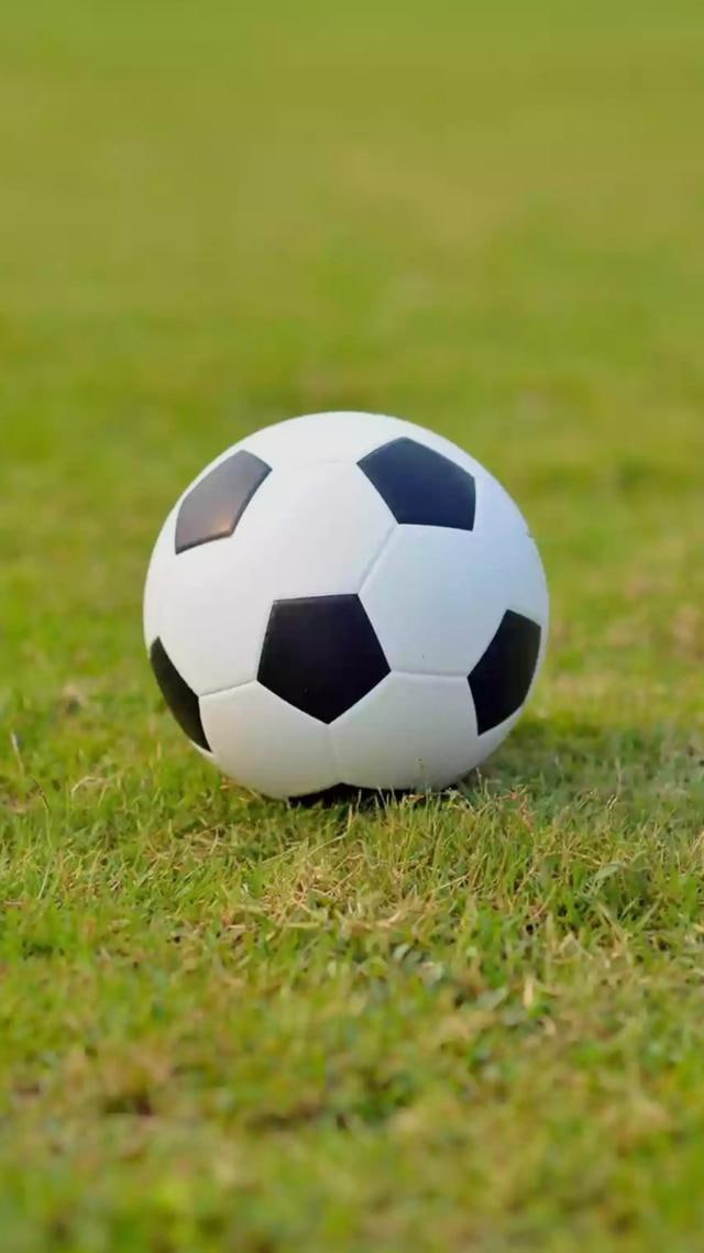 数据分析研究者使用场景